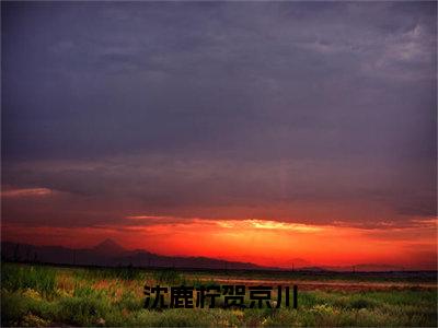 小说《沈鹿柠贺京川》全文免费阅读无弹窗-沈鹿柠贺京川（贺京川沈鹿柠）小说全文在线赏析_笔趣阁