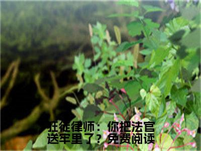 《狂徒律师：你把法官送牢里了？》 林北冯天赐在哪免费看-狂徒律师：你把法官送牢里了？（ 林北冯天赐）已完结全集大结局