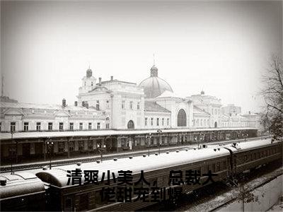 凌雨馨战时南免费阅读无弹窗大结局，清爽小美人，总裁大佬甜宠到爆最新章节