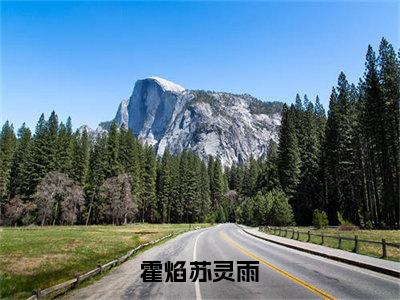 霍焰苏灵雨多人追热门小说 苏灵雨霍焰最新章节免费阅读