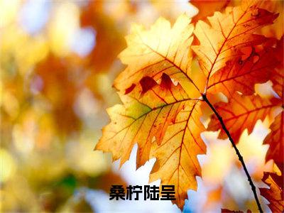 桑柠陆呈小说（桑柠陆呈）全文免费桑柠陆呈阅读无弹窗大结局-（桑柠陆呈）笔趣阁