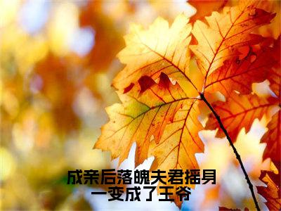 （成亲后落魄夫君摇身一变成了王爷）江晚赵知行小说全文免费阅读无弹窗大结局_江晚赵知行（成亲后落魄夫君摇身一变成了王爷）最新章节列表笔趣阁