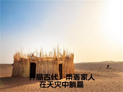 （花锦）全文免费阅读无弹窗大结局 开局古代：带着家人在天灾中躺赢免费阅读最新章节精彩免费阅读_笔趣阁