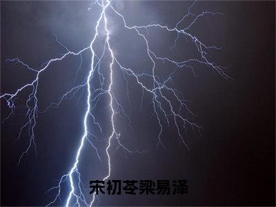 （宋初苓梁易泽）梁易泽宋初苓全文完整版-最新热门榜单小说宋初苓梁易泽（梁易泽宋初苓）