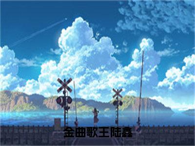 金曲歌王陆鑫全文免费阅读（陆鑫免费阅读无弹窗）金曲歌王陆鑫最新章节列表_笔趣阁