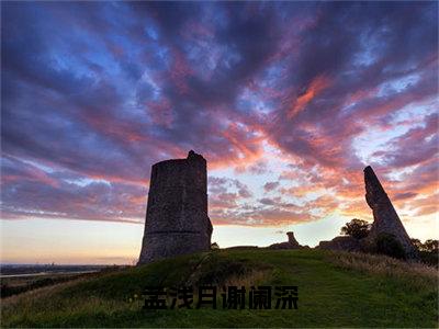 孟浅月谢阑深小说全文-孟浅月谢阑深小说免费阅读大结局