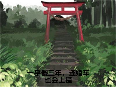 一孕傻三年，连婚车也会上错（盛誉时颖）全文完整版免费阅读_盛誉时颖（一孕傻三年，连婚车也会上错全文免费阅读）最新章节列表