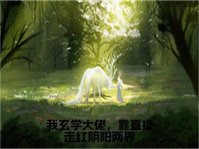 我玄学大佬，靠直播走红阴阳两界（祝阑）小说全文免费阅读无弹窗大结局_我玄学大佬，靠直播走红阴阳两界最新章节列表笔趣阁