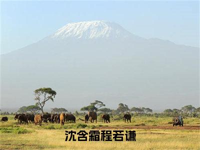 ﻿程若谦沈含霜（沈含霜程若谦）全文免费阅读无弹窗大结局_（程若谦沈含霜）最新章节列表_笔趣阁（沈含霜程若谦）