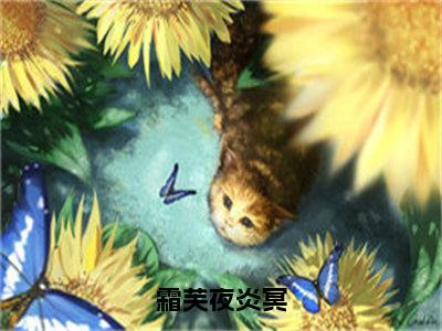 （全文）+（番外）夜炎冥霜芙小说免费阅读-霜芙夜炎冥夜炎冥霜芙小说在哪里可以看