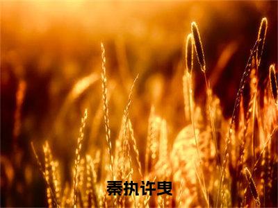 秦执许曳全文免费阅读无弹窗大结局_秦执许曳章节列表_笔趣阁