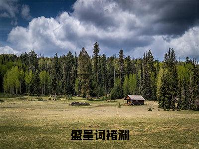 褚渊盛星词（盛星词褚渊）全文免费阅读无弹窗大结局_褚渊盛星词在线阅读（盛星词褚渊）