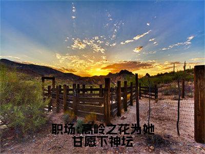 职场:高岭之花为她甘愿下神坛免费阅读（苑明皙曲知遥）完整版全文全章节阅读（苑明皙曲知遥免费+番外）