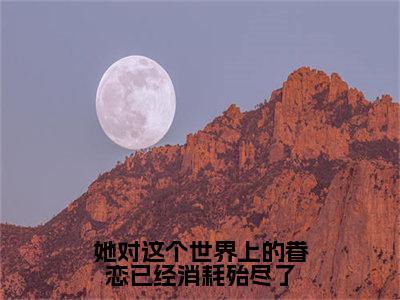 她对这个世界上的眷恋已经消耗殆尽了（傅明然沈意书）最新章节在线阅读-老书虫推荐她对这个世界上的眷恋已经消耗殆尽了小说