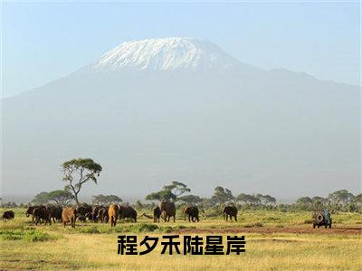 （程夕禾陆星岸）小说全文免费阅读无弹窗大结局_陆星岸程夕禾程夕禾陆星岸最新章节列表笔趣阁