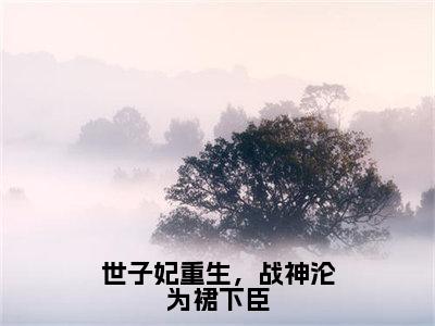 姜宁宁高赞小说（世子妃重生，战神沦为裙下臣）完结阅读_世子妃重生，战神沦为裙下臣免费看全文