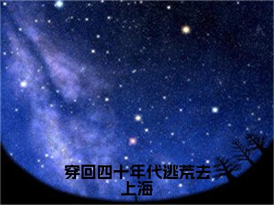 穿回四十年代逃荒去上海（王丽憨丫小说）全文免费阅读无弹窗大结局_穿回四十年代逃荒去上海小说王丽憨丫列表