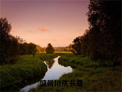 盛景川沈书意免费小说-盛景川沈书意完结版在线阅读