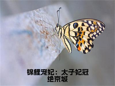 锦鲤宠妃：太子妃冠绝京城（周舟李子琰）小说全文免费_锦鲤宠妃：太子妃冠绝京城小说（周舟李子琰）最新章节目录笔趣阁