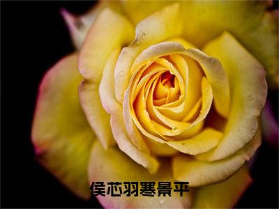 侯芯羽寒景平（寒景平侯芯羽）全文免费阅读无弹窗大结局_侯芯羽寒景平免费最新章节列表_笔趣阁