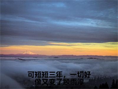 可短短三年，一切好像又变了顾雨淳（顾雨淳蒋月媛）全文免费阅读无弹窗大结局_可短短三年，一切好像又变了顾雨淳（顾雨淳蒋月媛）最新章节列表