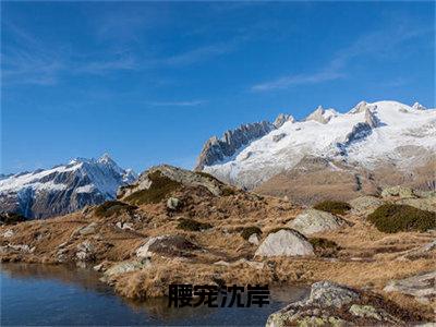 腰宠沈岸小说讲的是什么-林微沈岸精彩章节目录观看