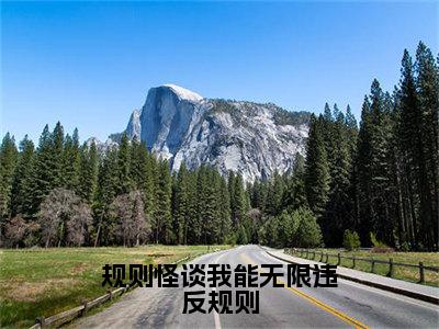 （景婪纪林苏）全文免费阅读无弹窗大结局-规则怪谈我能无限违反规则小说最新章节列表