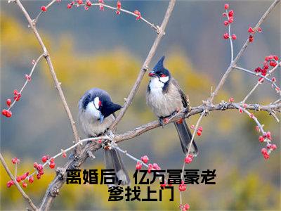 陆舟免费阅读无弹窗大结局，离婚后，亿万富豪老爹找上门最新章节