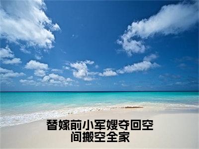 替嫁前小军嫂夺回空间搬空全家（唐心儿）全文免费阅读大结局_替嫁前小军嫂夺回空间搬空全家（唐心儿在线小说免费阅读）全文阅读大结局