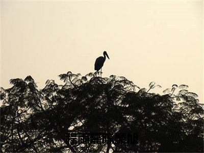 程雨嘉陈麟旭已完结小说全集阅读（程雨嘉陈麟旭完整版大结局）程雨嘉陈麟旭小说全文阅读笔趣阁