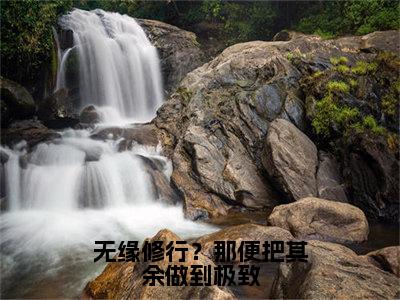 （林弃后续+全集）无缘修行？那便把其余做到极致（林弃）小说小说全集林弃无删减在线阅读