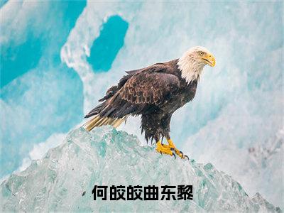 何皎皎曲东黎小说何皎皎曲东黎全文免费阅读无弹窗-正版小说何皎皎曲东黎全文阅读