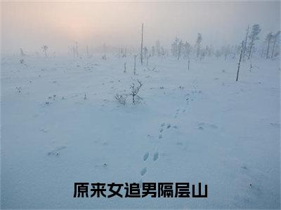 原来女追男隔层山（宋南乔）全文免费阅读无弹窗_宋南乔最新小说_笔趣阁