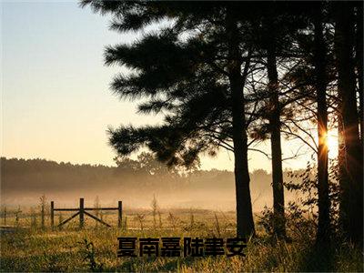 夏南嘉陆聿安夏南嘉陆聿安在线小说-夏南嘉陆聿安全文无删减版阅读