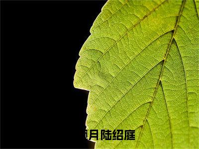 【全文】《江婉月陆绍庭》小说txt在线阅读_（江婉月陆绍庭全章节）-江婉月陆绍庭_江婉月陆绍庭在线阅读