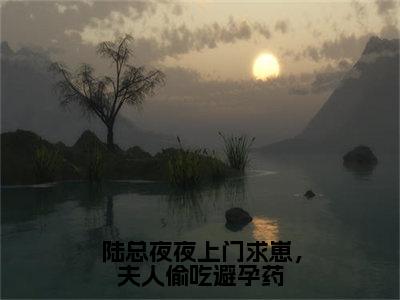 席欢陆聿柏小说全文免费阅读-陆总夜夜上门求崽，夫人偷吃避孕药最新章节列表免费阅读