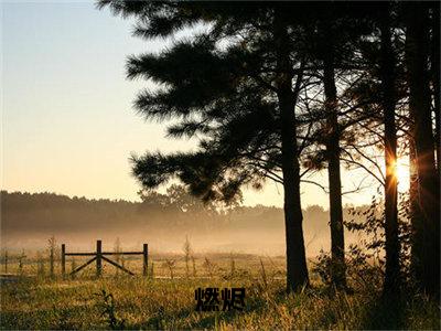 燃烬是什么小说_主角是（邹言姜海吟）的小说（燃烬）最新章节无弹窗阅读