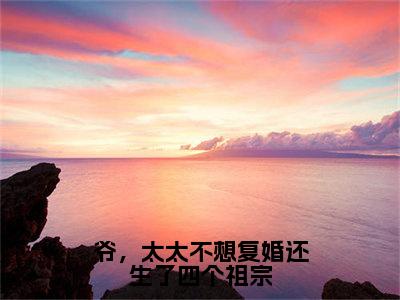 爷，太太不想复婚还生了四个祖宗（锦初傅夜宸）全文免费阅读_（锦初傅夜宸）小说爷，太太不想复婚还生了四个祖宗最新章节阅读