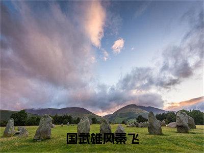 秦飞（国武雄风秦飞）免费小说完整版阅读-（秦飞）最新章节在线阅读