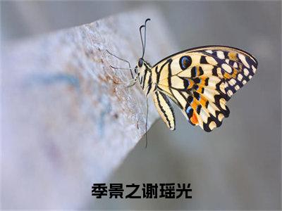 谢瑶光季景之小说全文免费阅读_（谢瑶光季景之）季景之谢瑶光最新章节列表笔趣阁