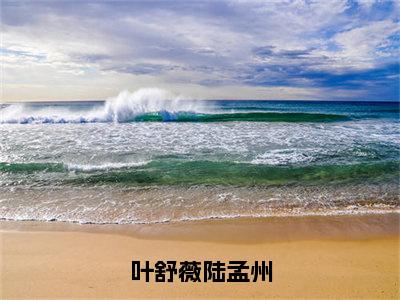 （陆孟州叶舒薇）叶舒薇陆孟州全文免费阅读无弹窗大结局_叶舒薇陆孟州最新章节列表笔趣阁（陆孟州叶舒薇）