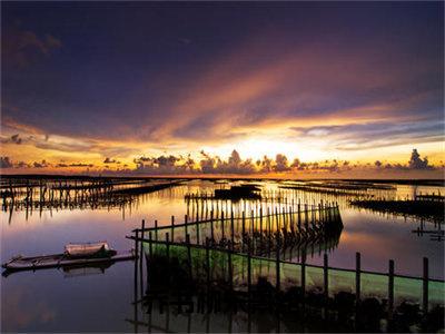 人气小说乔书柳宋景纶在线阅读-正版小说《乔书柳宋景纶》宋景纶乔书柳全文阅读