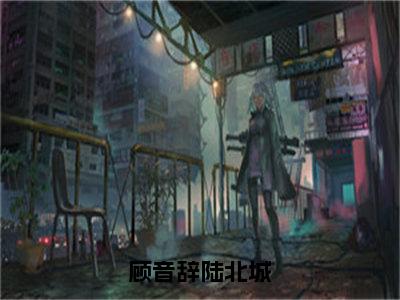 顾音辞陆北城小说（陆北城顾音辞）全文免费阅读无弹窗大结局_顾音辞陆北城小说最新章节列表_笔趣阁