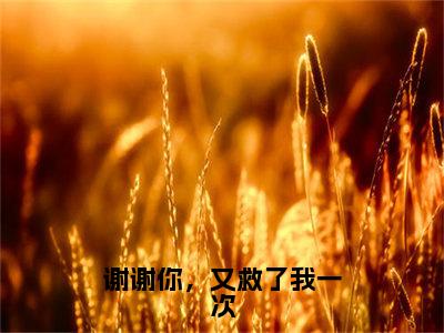 谢谢你，又救了我一次全文免费阅读无弹窗大结局_（向涵顾潇）谢谢你，又救了我一次小说免费阅读完整版全文大结局