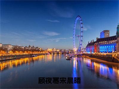 宋晨曦顾夜寒最新章节（顾夜寒宋晨曦）全文免费阅读无弹窗大结局_顾夜寒宋晨曦小说全文免费阅读正版无弹窗