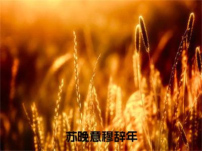 苏晚意穆辞年抖音新上免费热文苏晚意穆辞年完结免费阅读无弹窗