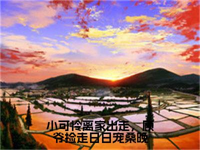 桑晚顾京墨（小可怜离家出走，顾爷捡走日日宠桑晚）全文免费阅读无弹窗大结局_（桑晚顾京墨阅读无弹窗）小可怜离家出走，顾爷捡走日日宠桑晚最新章节列表