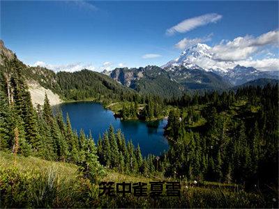 夏雪（笼中雀夏雪）全文免费阅读无弹窗大结局笼中雀夏雪（夏雪）