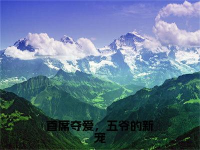 首席夺爱，五爷的新宠免费阅读全文免费阅读无弹窗大结局_（宁安莫向离小说免费阅读）首席夺爱，五爷的新宠最新章节阅读