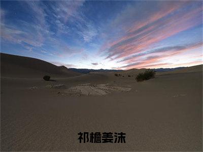 祁檐姜沫（祁檐姜沫）全文免费阅读无弹窗大结局_祁檐姜沫（祁檐姜沫）小说全文免费阅读最新章节列表